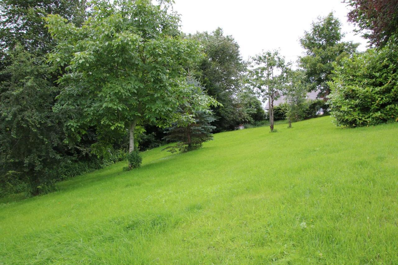 Ferienhaus Eifelnest Scheid (Vulkaneifel) Exterior foto